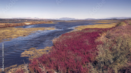 Montenegro - A view at a portion of the Nature Park Solana Ulcinj (Ulcinj Saltern)