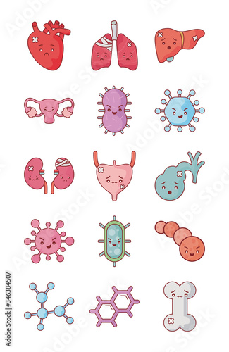 Human organs and virus flat style icon set vector design