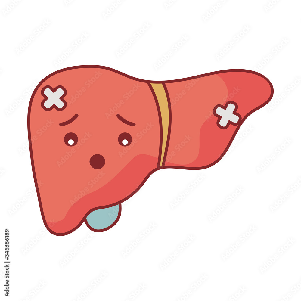 liver cartoon flat style icon vector design liver cartoon flat style icon vector design