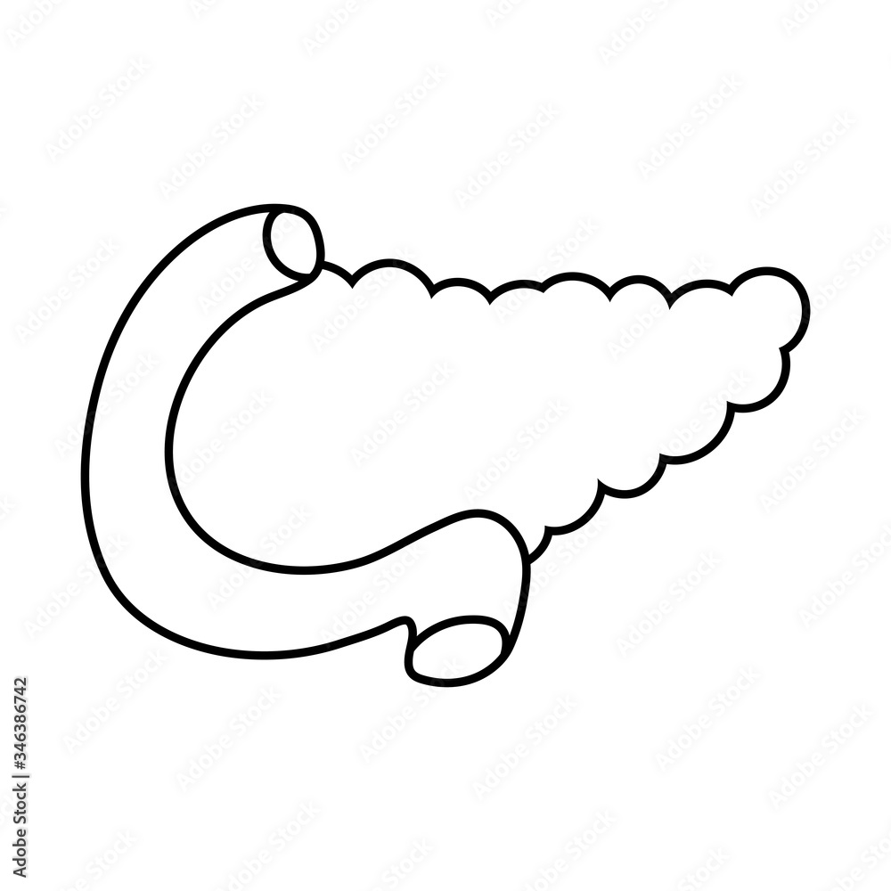 pancreas organ line style icon vector design pancreas organ line style icon vector design