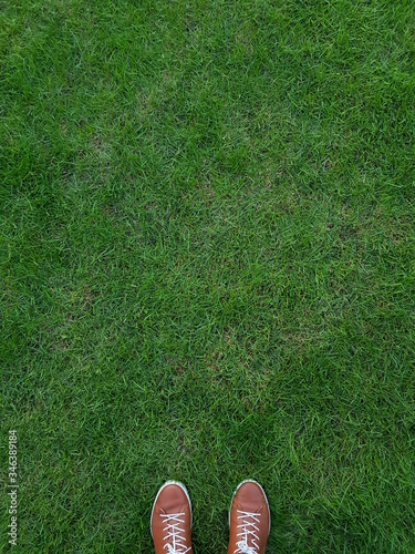 boots on grass green grass lawn background brown shoes shoes