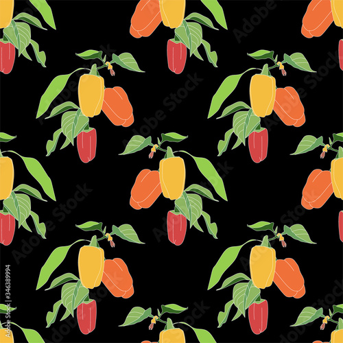 Ripe seamless pepper in the garden.Vector illustration.