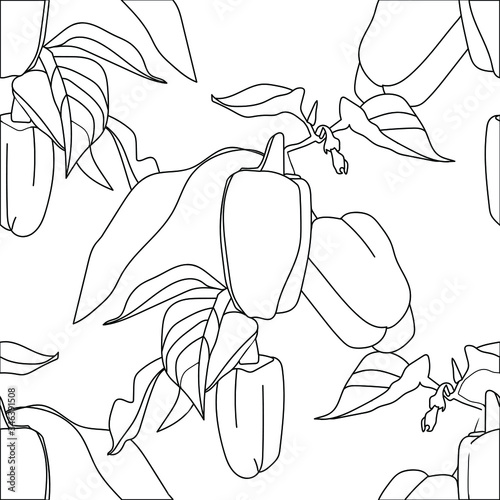 Ripe seamless pepper in the garden.Vector illustration.