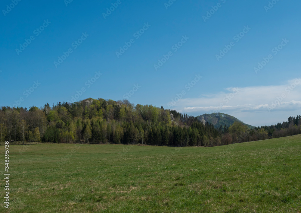 idyllic spring landscape in Lusatian mountains, with lush green grass meadow, fresh deciduous and spruce tree forest, hills, blue sky white clouds background, horizontal, copy space