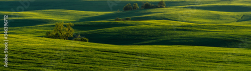 panorama of a green field in spring scenery