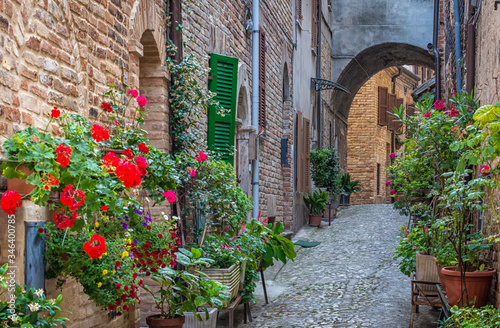 Fototapeta Naklejka Na Ścianę i Meble -  Acquaviva Picena a small village in Ascoli Piceno province, region Marche in Italy. characteristic narrow street of the medieval village