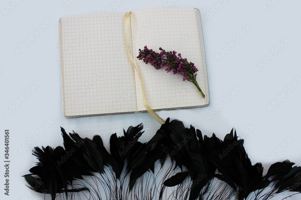 An opened notebook on a white background with a sprig of lilac and black long feathers. Open notebook isolated on white background with place for text with feathers and lilac ..