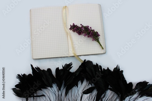 Obraz na płótnie An opened notebook on a white background with a sprig of lilac and black long feathers. Open notebook isolated on white background with place for text with feathers and lilac .. w salonie