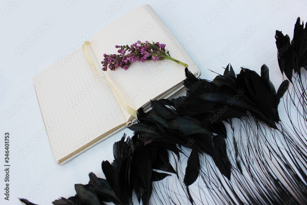 An opened notebook on a white background with a sprig of lilac and black long feathers. Open notebook isolated on white background with place for text with feathers and lilac ..