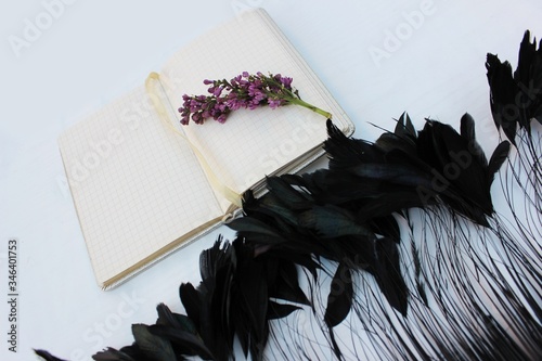 Obraz na płótnie An opened notebook on a white background with a sprig of lilac and black long feathers. Open notebook isolated on white background with place for text with feathers and lilac .. w salonie