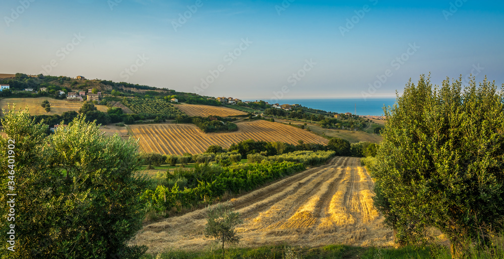rural landscape in the Marche region in Italy near Fermo. Summer landscape