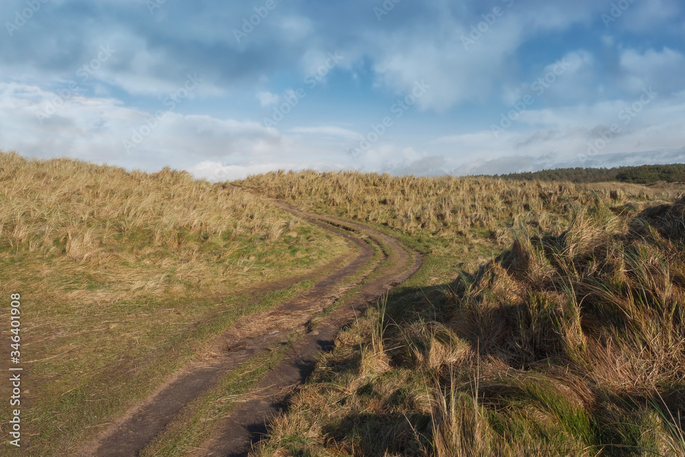 Small country road in a field, Blue cloudy sky, Nobody, Simple rural landscape.