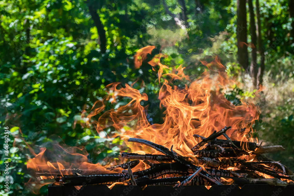Close-up photo of a flame from brushwood that burns out in a grill for charcoal for a barbecue. Forest on background Close-up photo of a flame from brushwood that burns out in a grill for charcoal for a barbecue. Forest on background