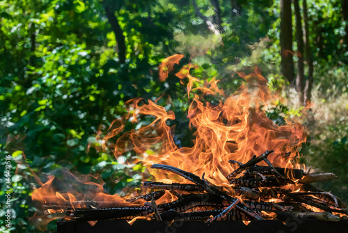 Close-up photo of a flame from brushwood that burns out in a grill for charcoal for a barbecue. Forest on background