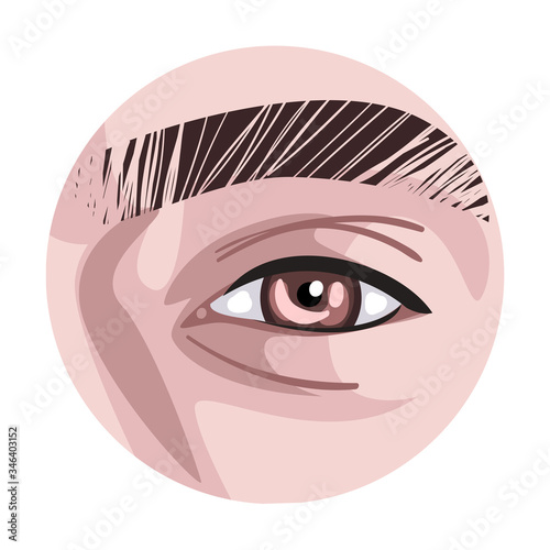 Brown Eye in the Circle, Part of Male or Female Face Vector Illustration