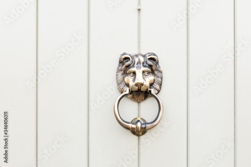 lion door knockers on a door