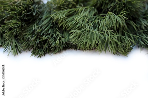 Obraz na płótnie Dill frame isolated on white with place for text. Fresh greens, green salad and healthy nutrition. Different types of fresh garden herbs isolated on a white background w salonie