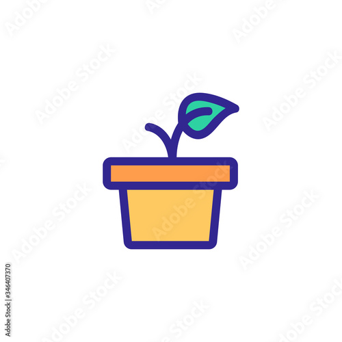 small plant in flower pot icon vector. small plant in flower pot sign. color symbol illustration