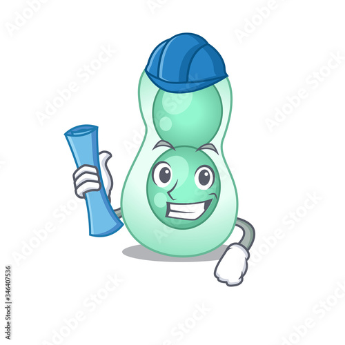 Cartoon character of serratia marcescens brainy Architect with blue prints and blue helmet