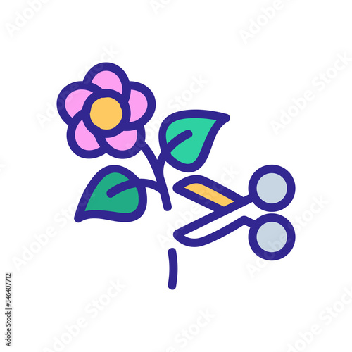 flower pruning icon vector. flower pruning sign. color symbol illustration