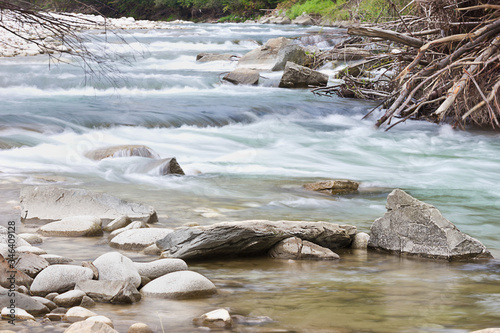 Summer landscape with forest and mountain river.