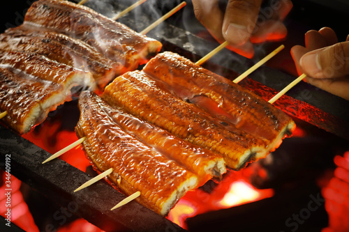 Fotografía うなぎの蒲焼き　Grilled eel with soy based sauce
