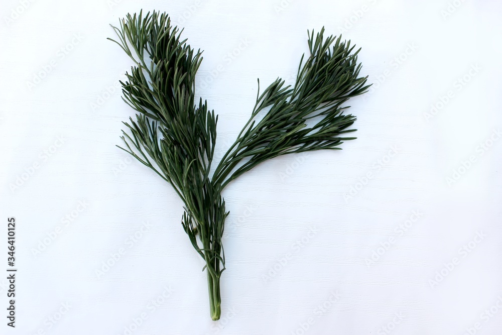 Letter Y made from green dill isolated on a white background. Alphabet made of vegetables and herbs. Healthy eating. Capital letter Y made from natural green products on a white background