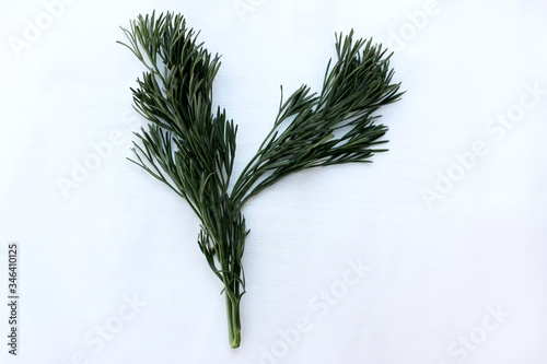 Obraz na płótnie Letter Y made from green dill isolated on a white background. Alphabet made of vegetables and herbs. Healthy eating. Capital letter Y made from natural green products on a white background w salonie
