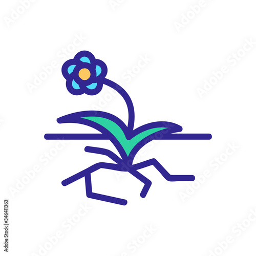 flower growth on asphalt road icon vector. flower growth on asphalt road sign. color symbol illustration