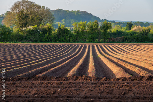 Freshly ploughed field in the evening sun.