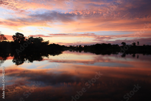 Fototapeta Naklejka Na Ścianę i Meble -  Landscape of Amazon jungle river during sunrise  in Brazil