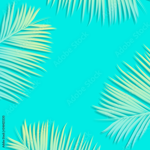 Flat lay palm leaves with blank copy space. Seasonal summer concept for background.