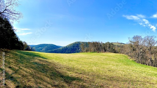 landscape with trees and clouds