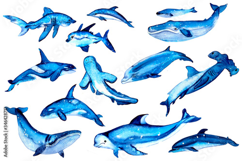 Vintage watercolor elements in a nautical theme. Hand drawn whale, shark, dolphin, killer whale, fish, beluga.