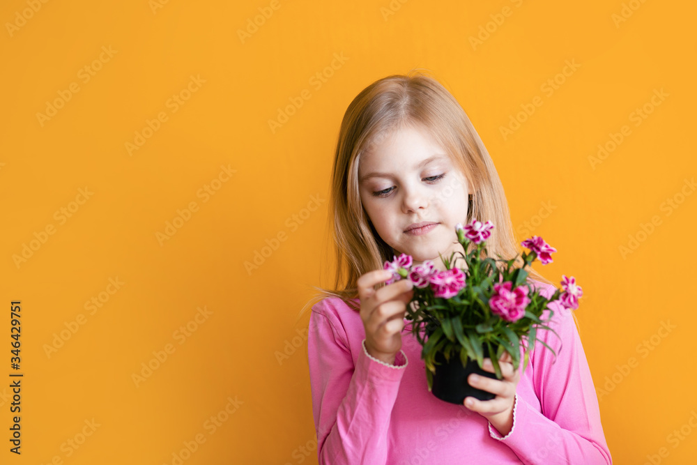 Cute baby on an orange background, 6-8 years old, a girl in pink clothes smiles, holds a pot with a flower of cloves in her hands