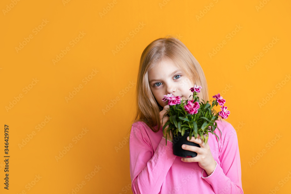 Cute baby on an orange background, 6-8 years old, a girl in pink clothes smiles, holds a pot with a flower of cloves in her hands Cute baby on an orange background, 6-8 years old, a girl in pink clothes smiles, holds a pot with a flower of cloves in her hands
