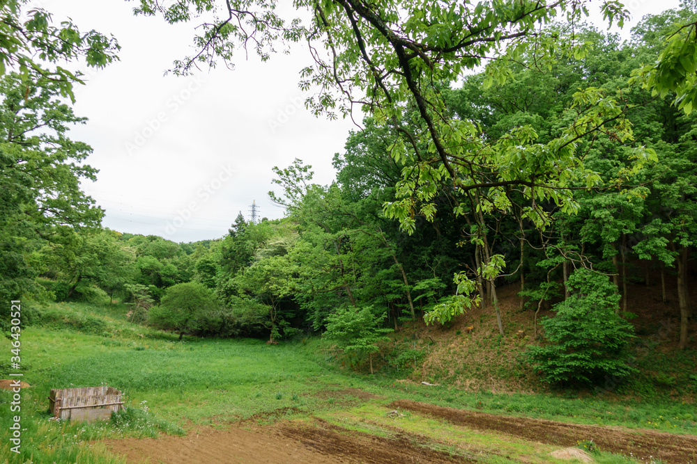 Obraz premium 【東京都 町田】都内にある田舎の風景