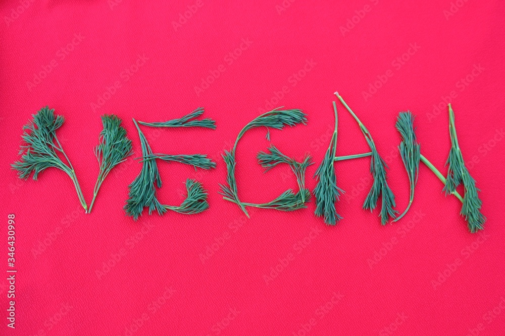 Vegan written from dill and herbs. Concepts for design. The word vegan on a red background, top view. Vegan food concept