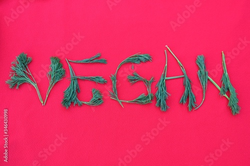 Obraz na płótnie Vegan written from dill and herbs. Concepts for design. The word vegan on a red background, top view. Vegan food concept w salonie