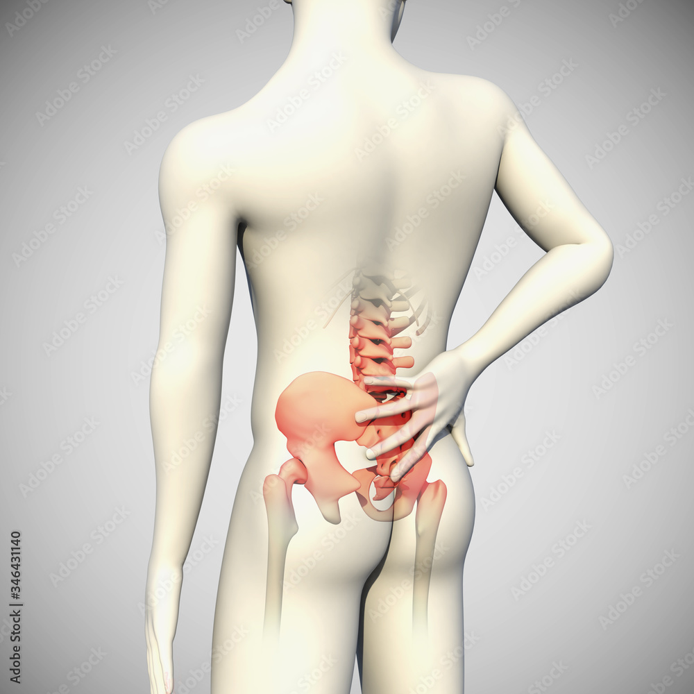 Naklejka premium 3d Illustration of Back Pain