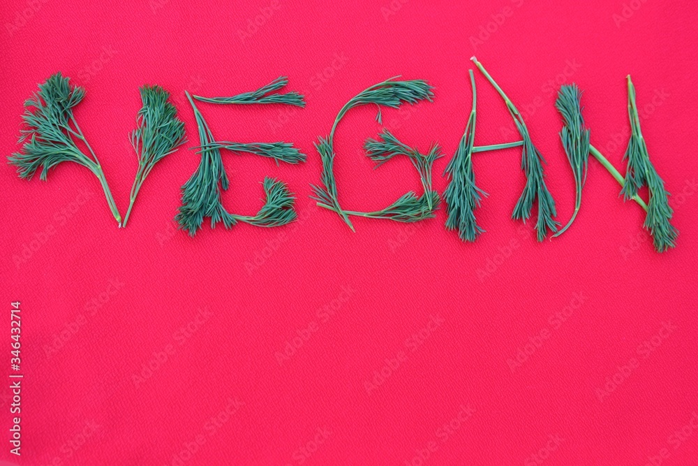 Vegan written from dill and herbs. Concepts for design. The word vegan on a red background, top view. Vegan food concept