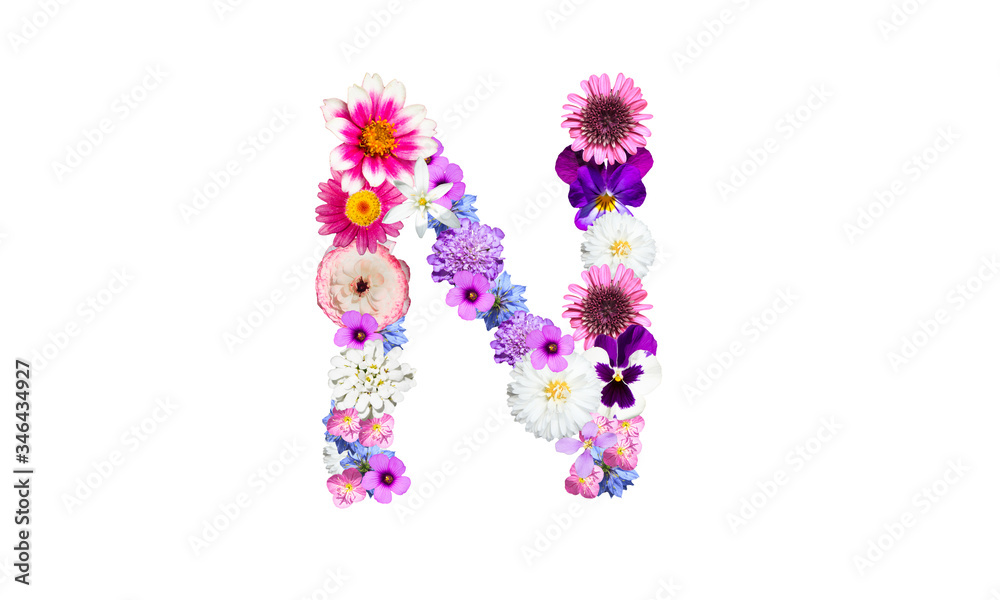 花文字 花のフォント アルファベットのn Stock Photo Adobe Stock