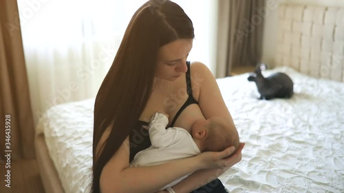 Mother and little baby girl during breastfeeding with cat in background