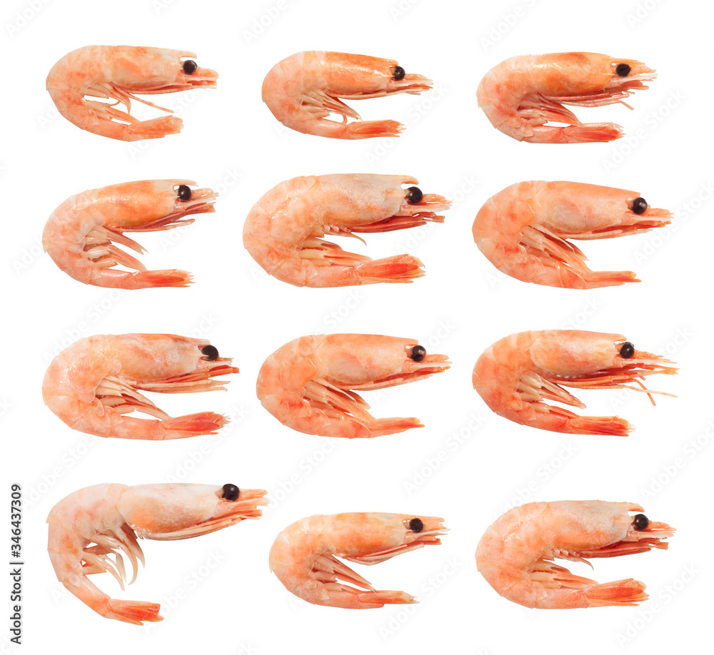 Set of shrimps or prawns in shell isolated on white background Set of shrimps or prawns in shell isolated on white background