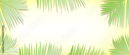 Flat lay palm leaves with blank copy space. Creative seasonal summer concept for banner.