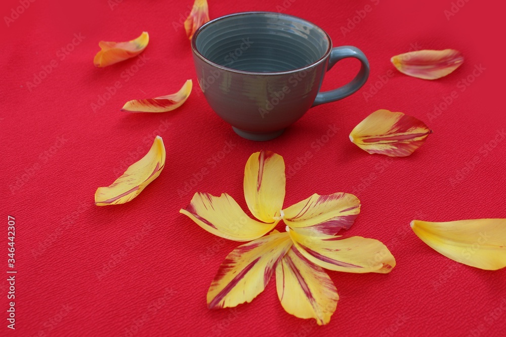 Blue cup with the inscription Coffee isolated on a red background surrounded by petals. Cup of coffee on a background of tulip petals.