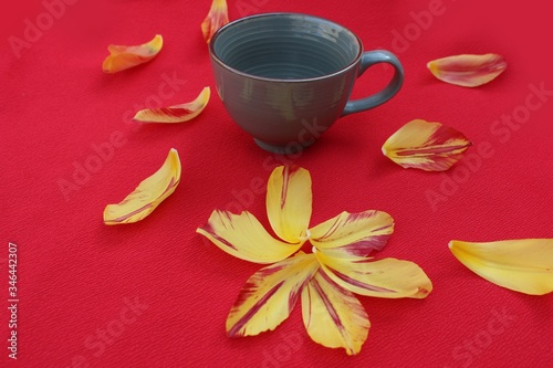 Obraz na płótnie Blue cup with the inscription Coffee isolated on a red background surrounded by petals. Cup of coffee on a background of tulip petals. w salonie