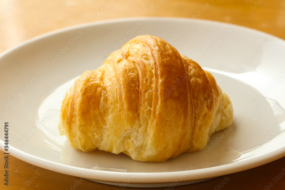 Tasty Croissant in the plate Tasty Croissant in the plate