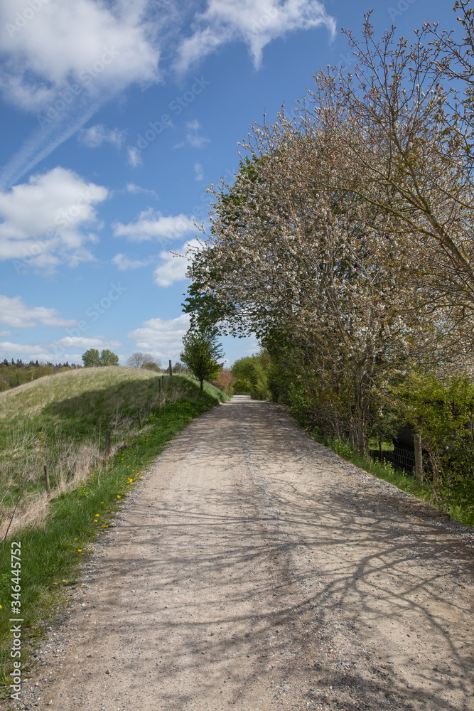 Follow the path into the nature with blue sky and clouds