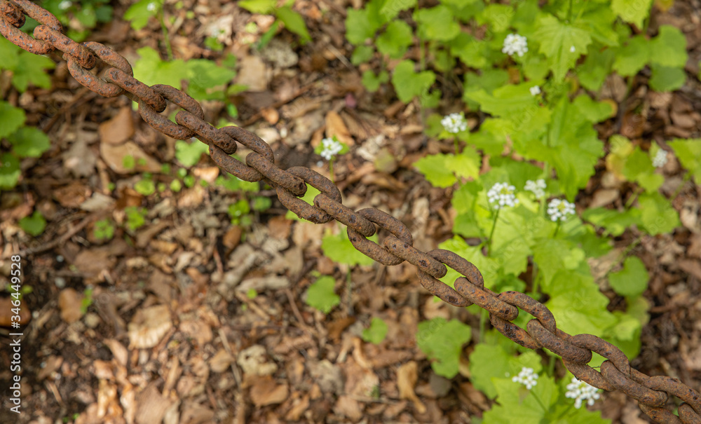 old brown chain in the middle of the woods old brown chain in the middle of the woods